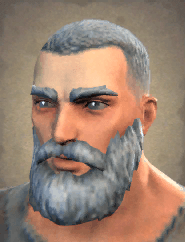 telmer portrait icon npcs world pathfinder wrath of the righteous wiki guide