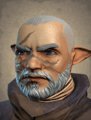 chief sull portrait icon npcs world pathfinder wrath of the righteous wiki guide