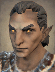 faxon portrait icon npcs world pathfinder wrath of the righteous wiki guide